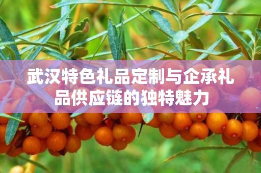 武汉特色礼品定制与企承礼品供应链的独特魅力